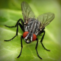 /album/babanana/photolia-a01-jpg/