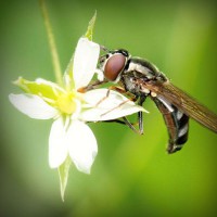 /album/babanana/photolia-a02-jpg/