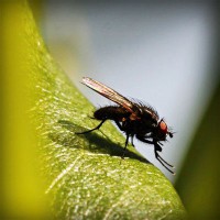 /album/babanana/photolia-a04-jpg/