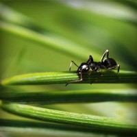 /album/babanana/photolia-a05-jpg/
