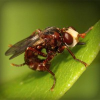/album/babanana/photolia-a06-jpg/