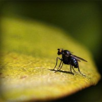 /album/babanana/photolia-a07-jpg/